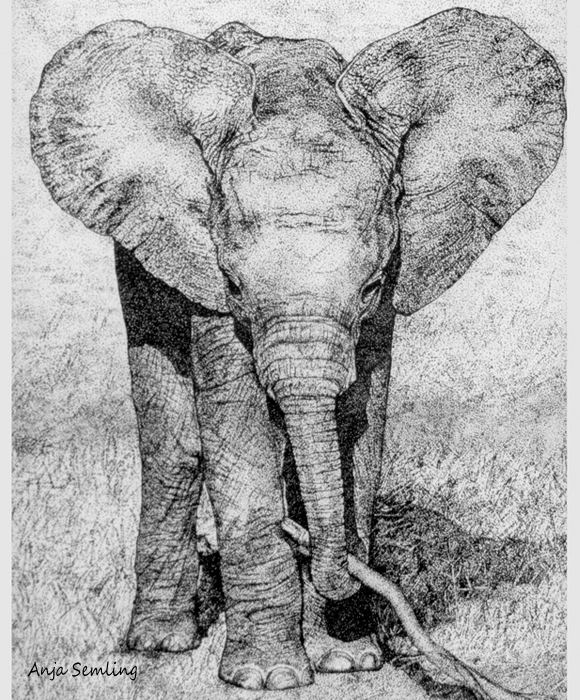 Federpunktierung Elefant