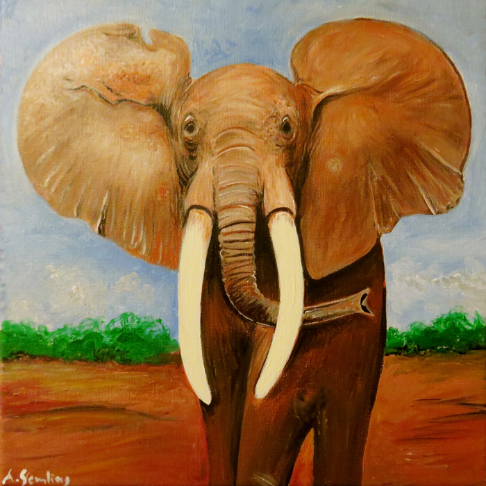 Bildkunst Elefanten