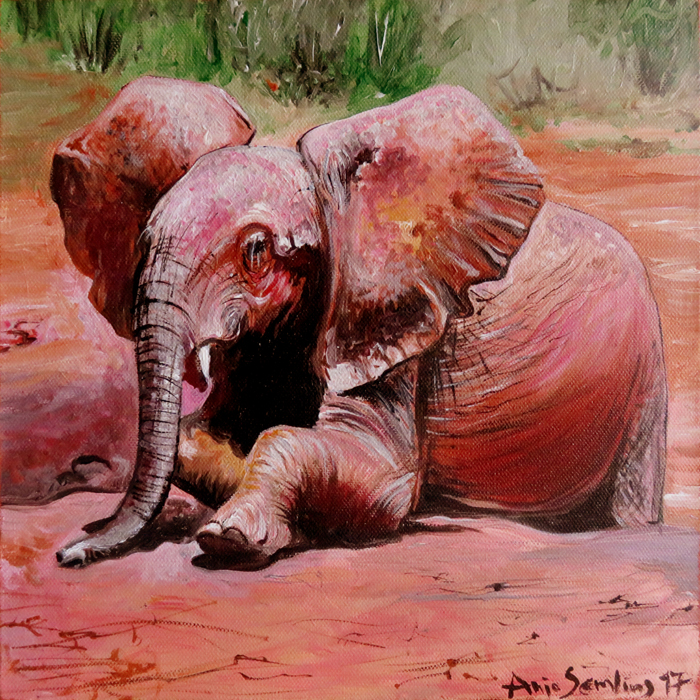 Bildkunst Elefanten